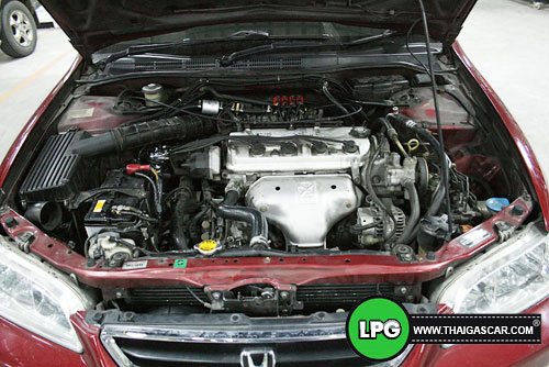 accord งูเห่า ติดแก๊ส