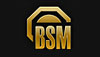 ติดLPG หัวฉีด BSM
